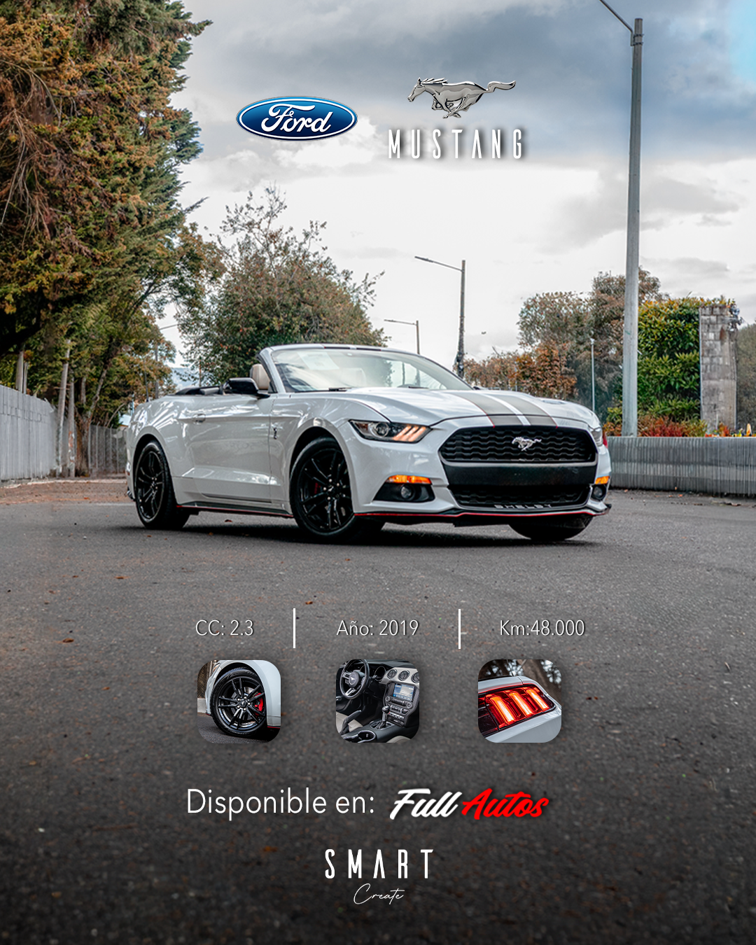 ARTE MUSTANG SMART - FULL AUTOS 2